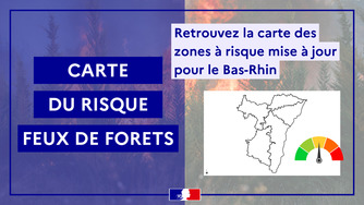 FEUX DE FORETS